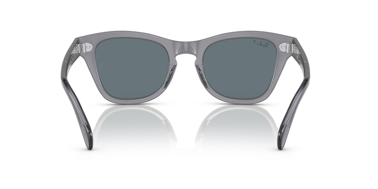 66413R - Grey - Dark Blue Polar
