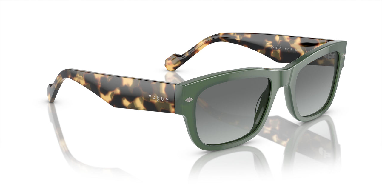 309211 - Green - Grey Gradient
