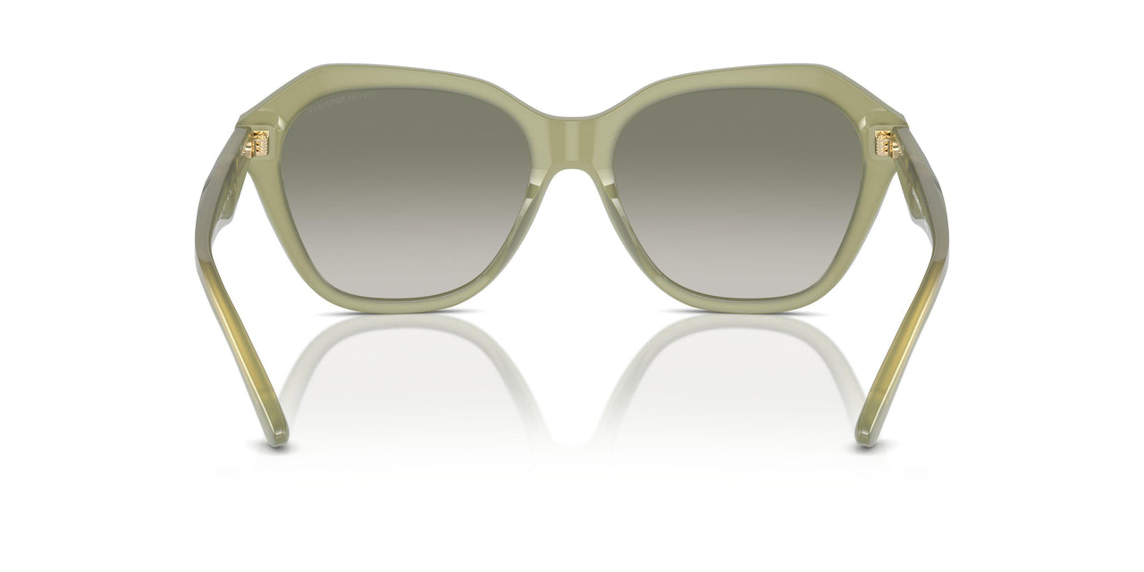 61168E - Green - Gradient Green