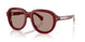 301675 - Red - Dark Red Solid