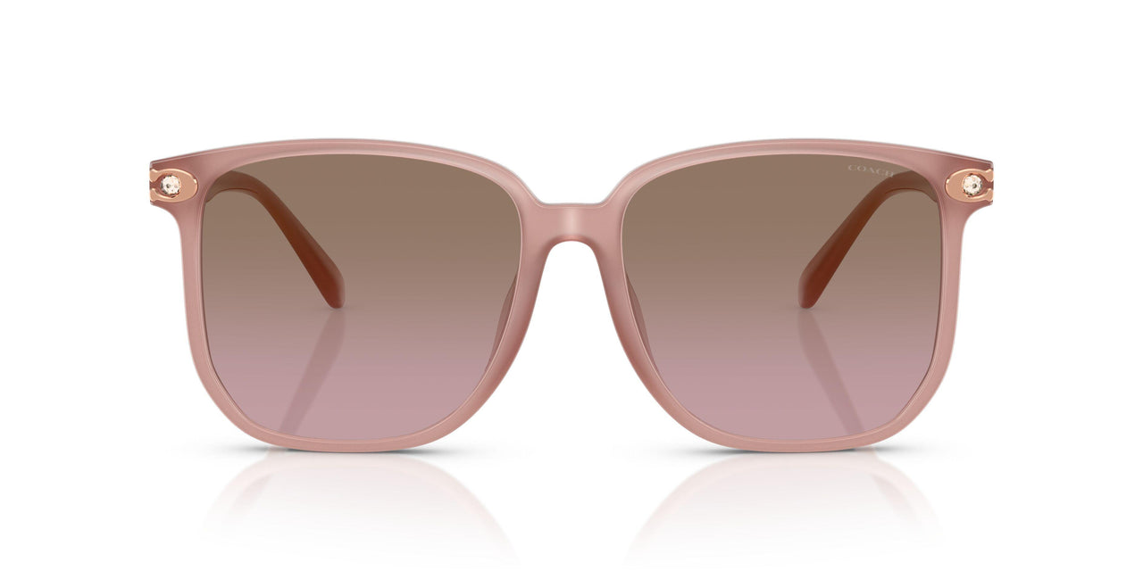 583914 - Pink - Brown Rose Gradient