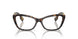 3002 - Brown