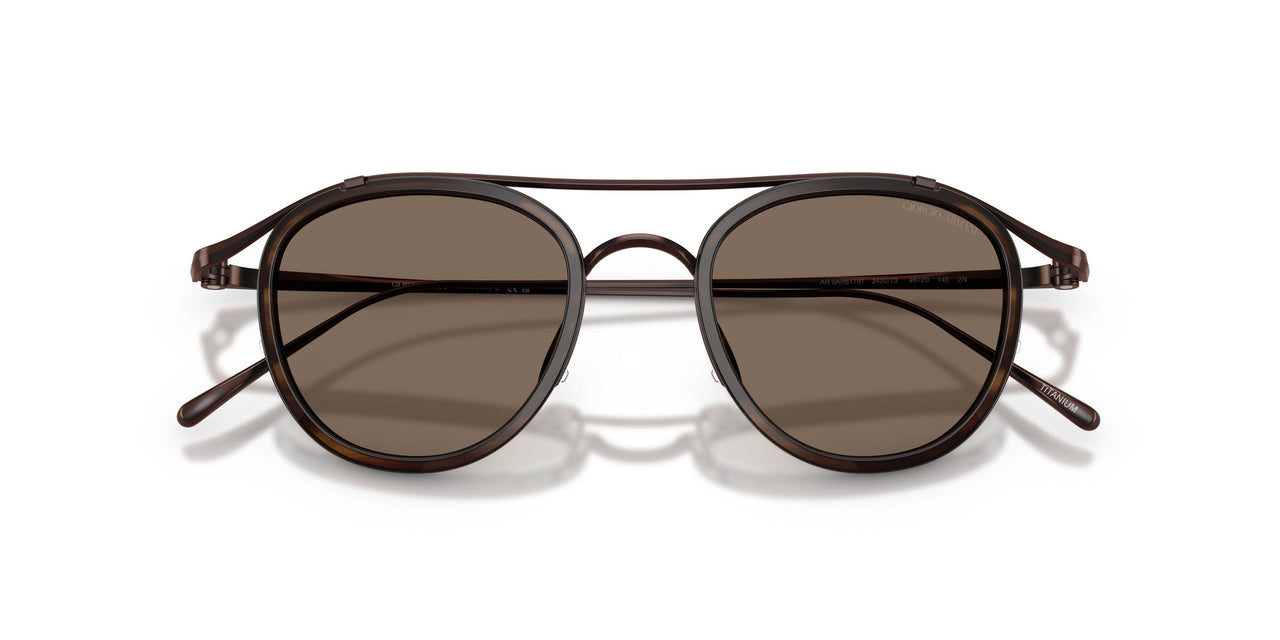 343073 - Brown - Brown