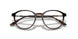 5026 - Tortoise