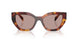 22A20I - Tortoise - Light Purple Brown