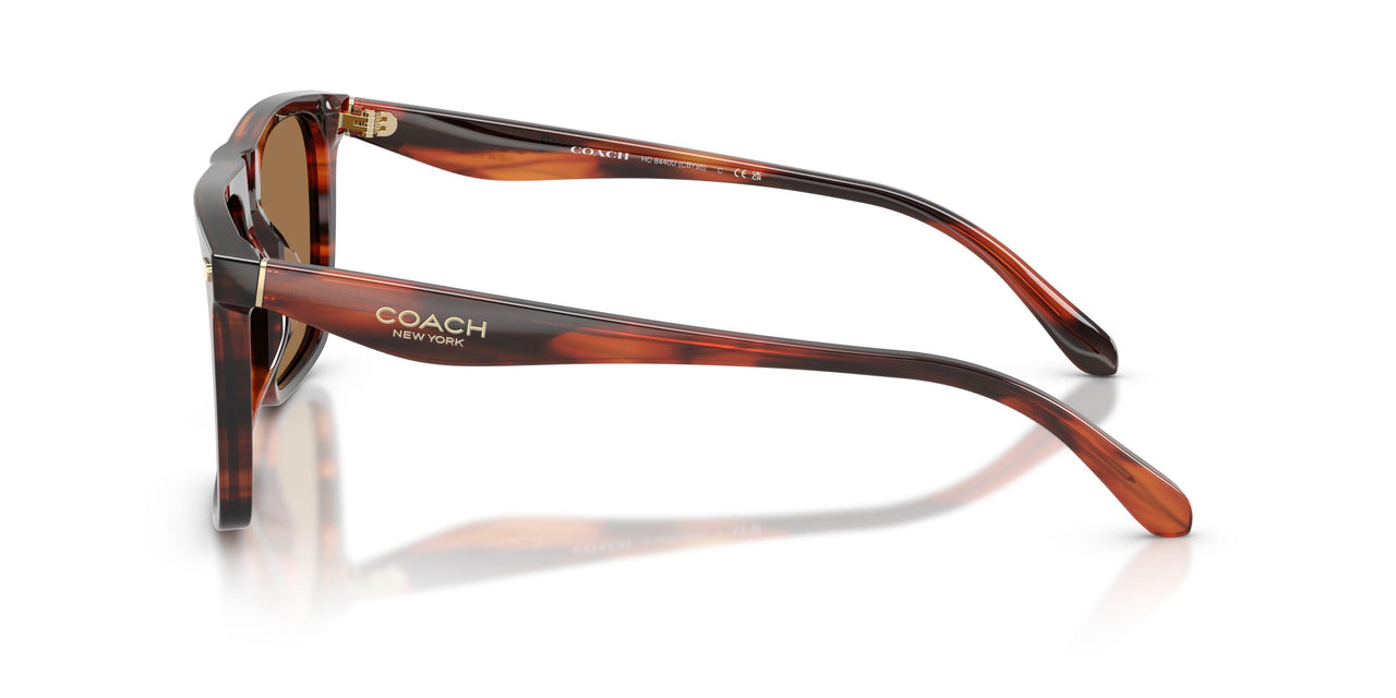 5906/O - Brown - Brown Flash