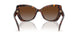 4031T5 - Tortoise - Brown Gradient Polar