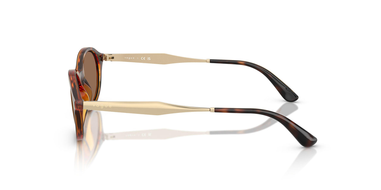 W65673 - Brown - Dark Brown