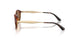W65673 - Brown - Dark Brown