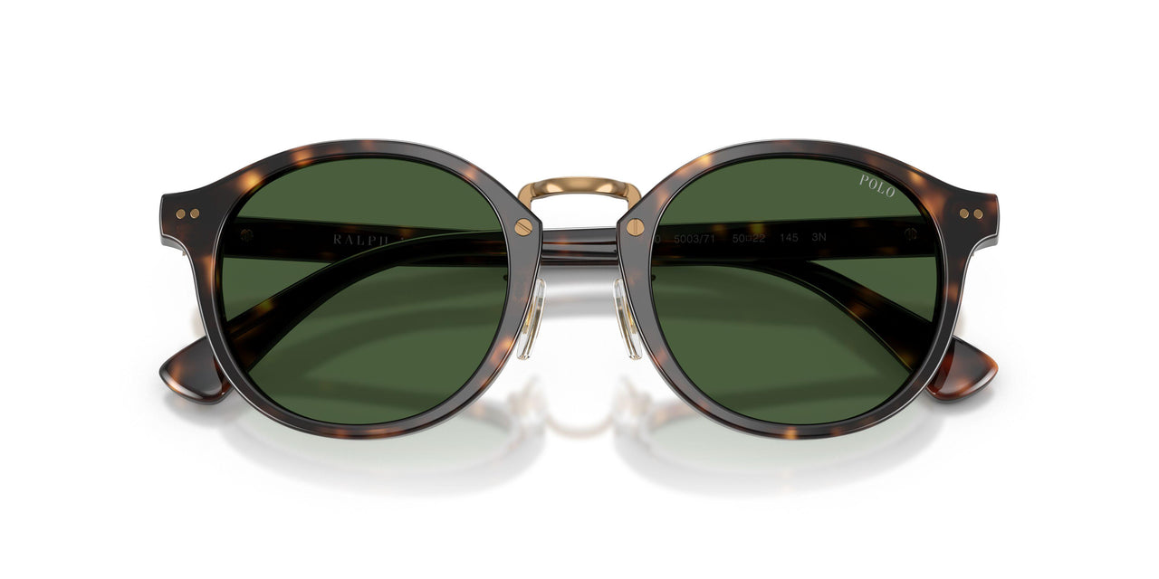 500371 - Tortoise - Bottle Green