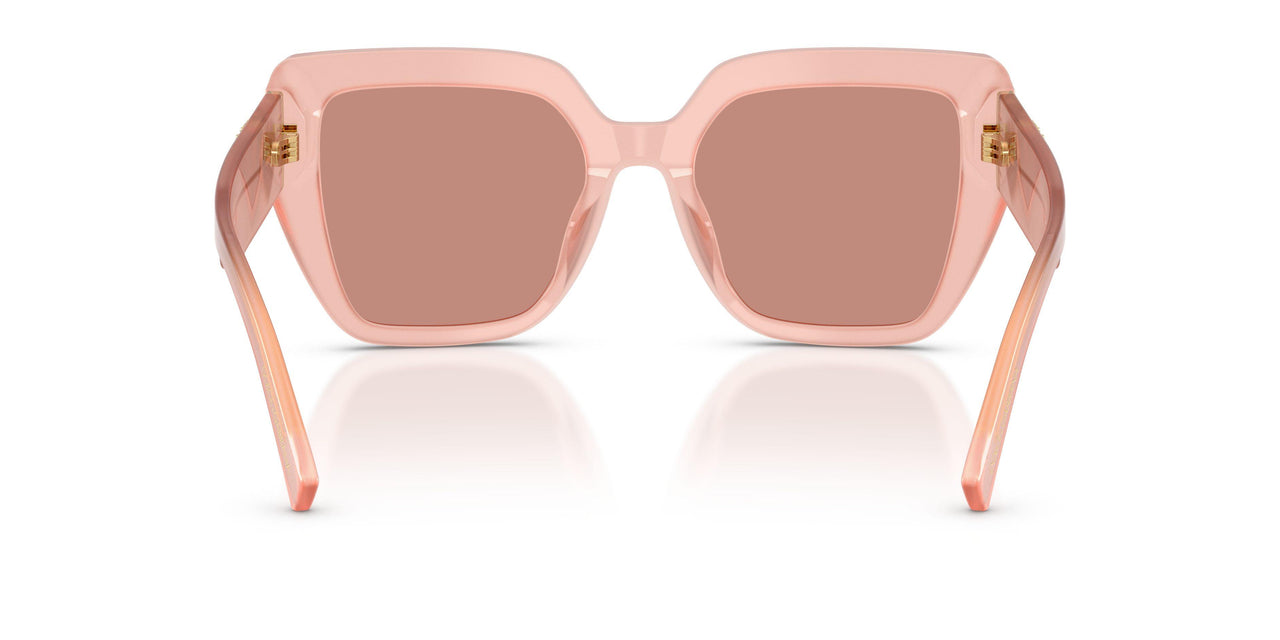 338496 - Pink - Dark Violet