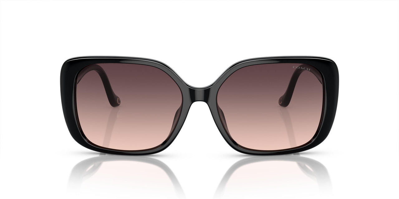 5002U8 - Black - Grey Pink Gradient