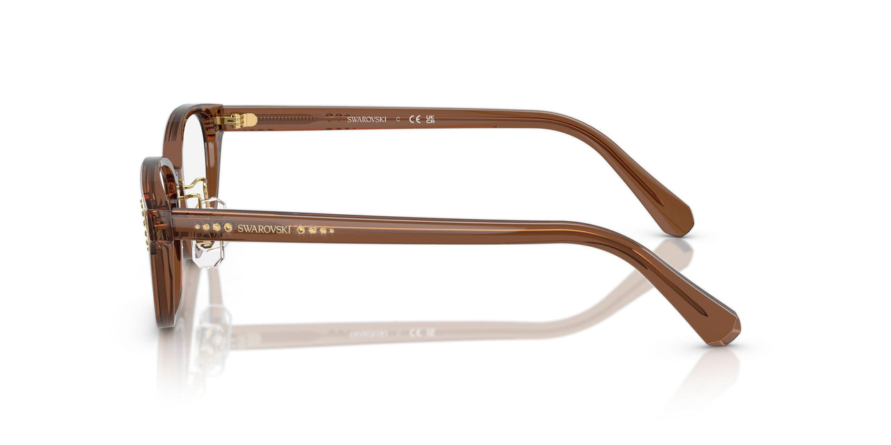 1067 - Brown