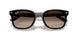 710/13 - Tortoise - Gradient Brown