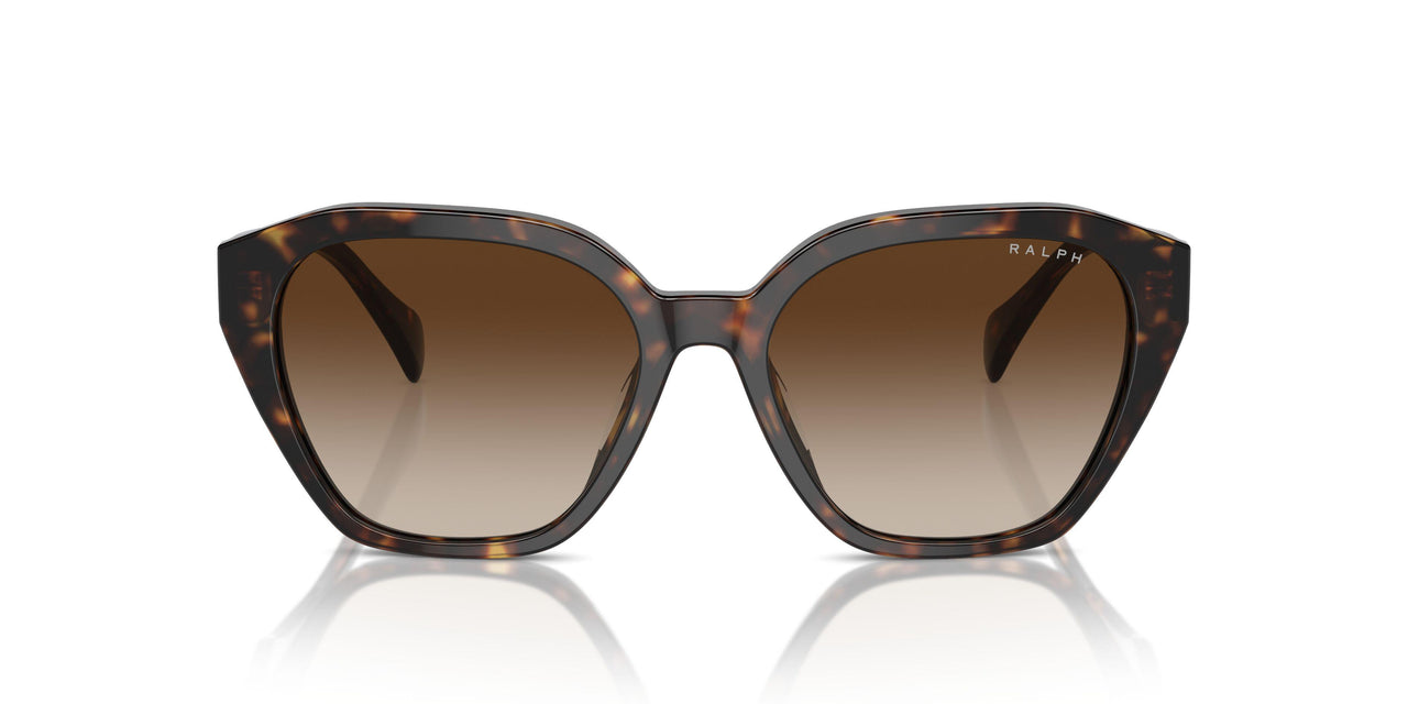 500313 - Brown - Gradient Brown