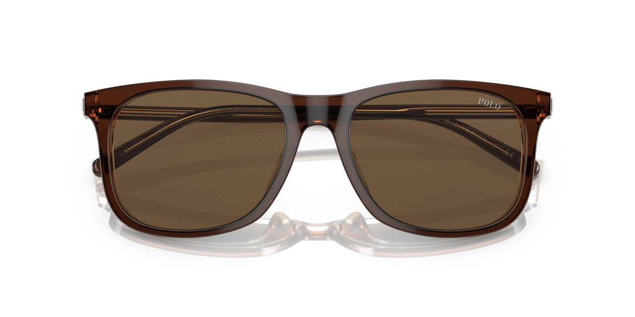 602973 - Brown - Brown