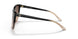602274 - Black - Light Grad Brown