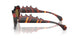 003/73 - Tortoise - Brown