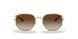 001/13 - Gold - Gradient Brown