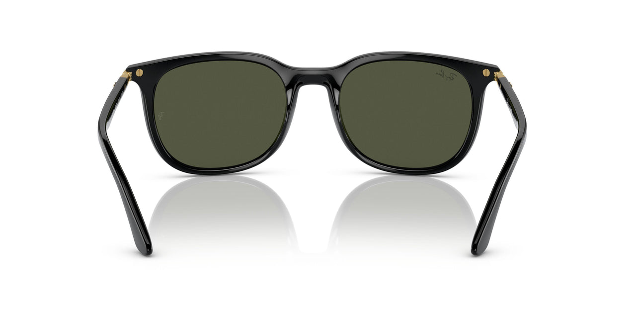 601/31 - Black - Green
