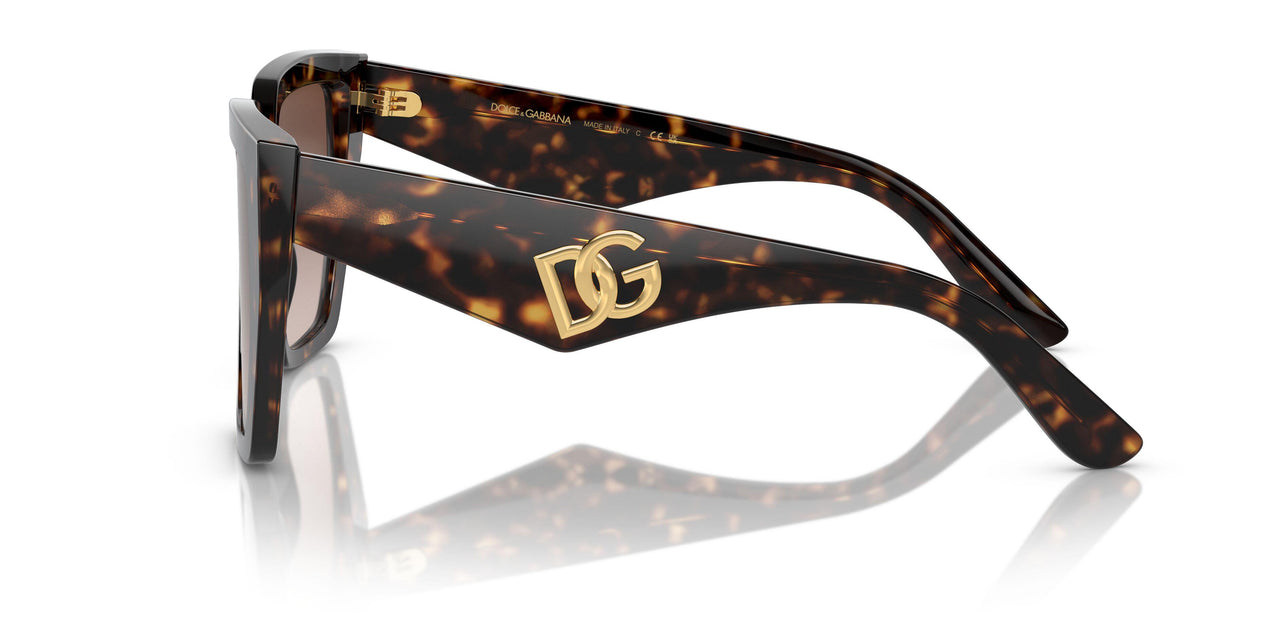 502/13 - Tortoise - Gradient Brown