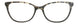 BKT - Black/Tortoise