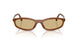 22I10R - Brown - Yellow