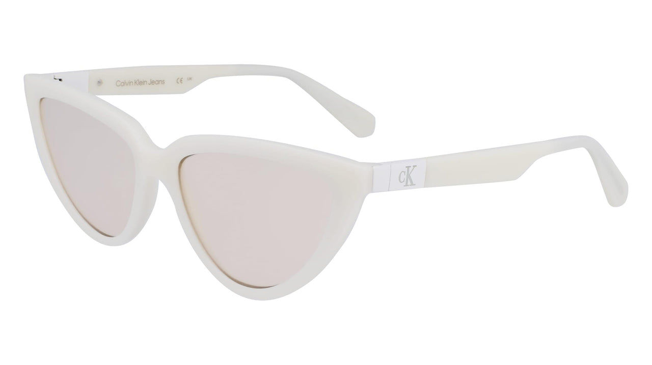 Calvin Klein Jeans CKJ23658S Sunglasses