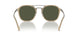 116931 - Brown - Green