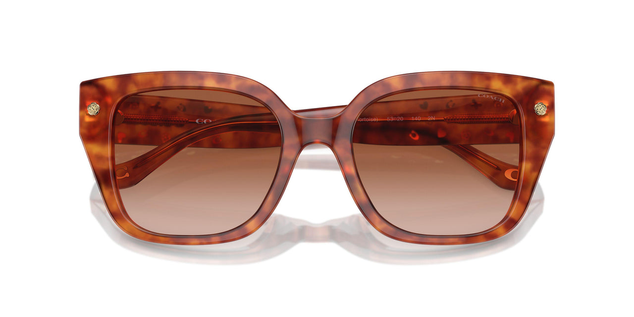 577413 - Tortoise - Brown Gradient