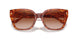 577413 - Tortoise - Brown Gradient