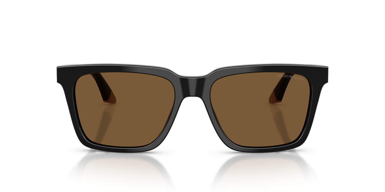 631373 - Black - Brown