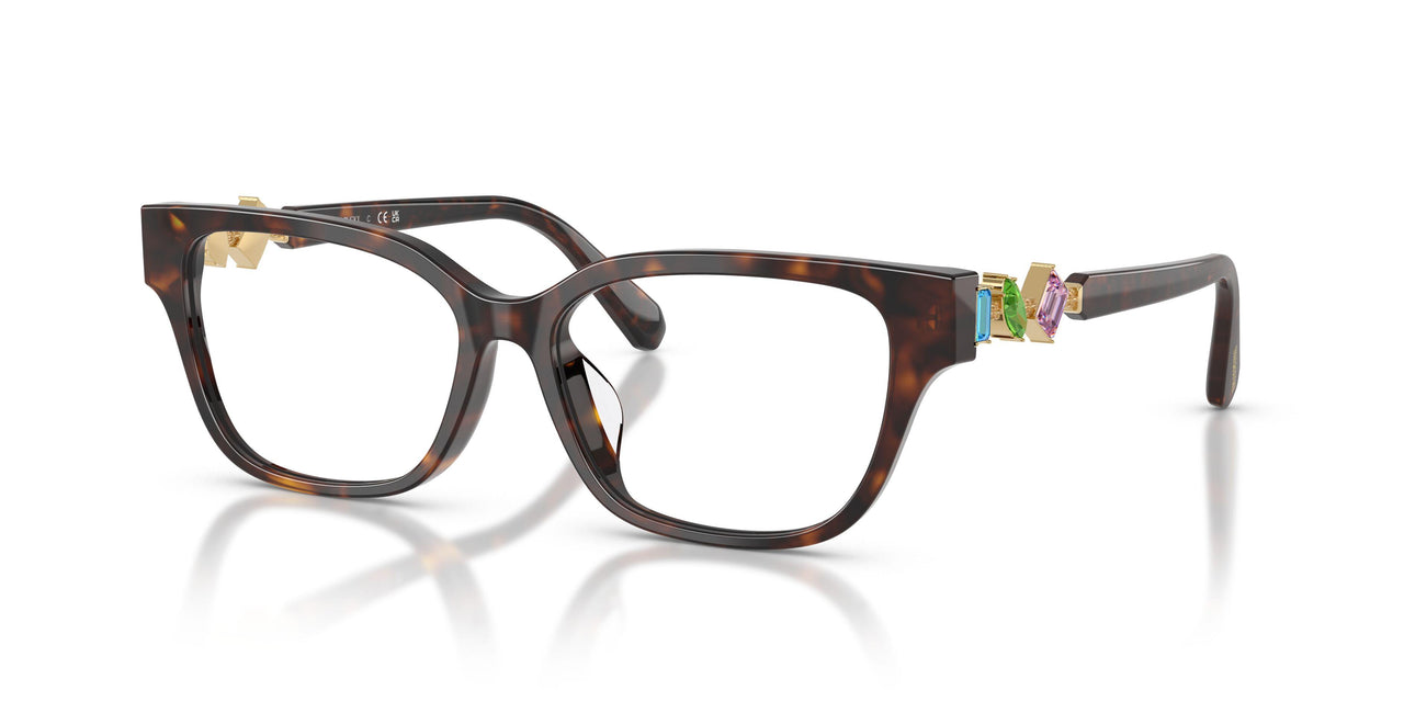 1002 - Tortoise
