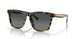 201402 - Tortoise - Gray Gradient