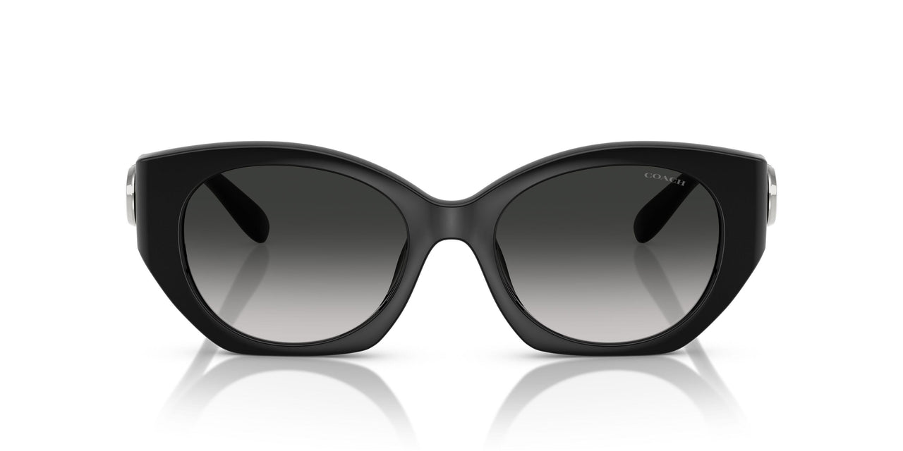 50023C - Black - Grey Gradient