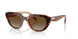 W656T5 - Brown - Gradient Brown Polar