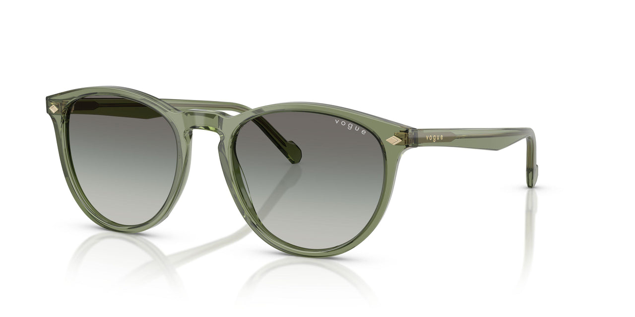 318711 - Green - Gradient Grey