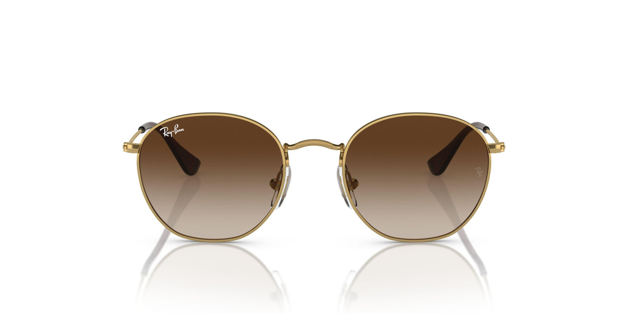 223/13 - Gold - Brown