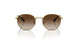 223/13 - Gold - Brown