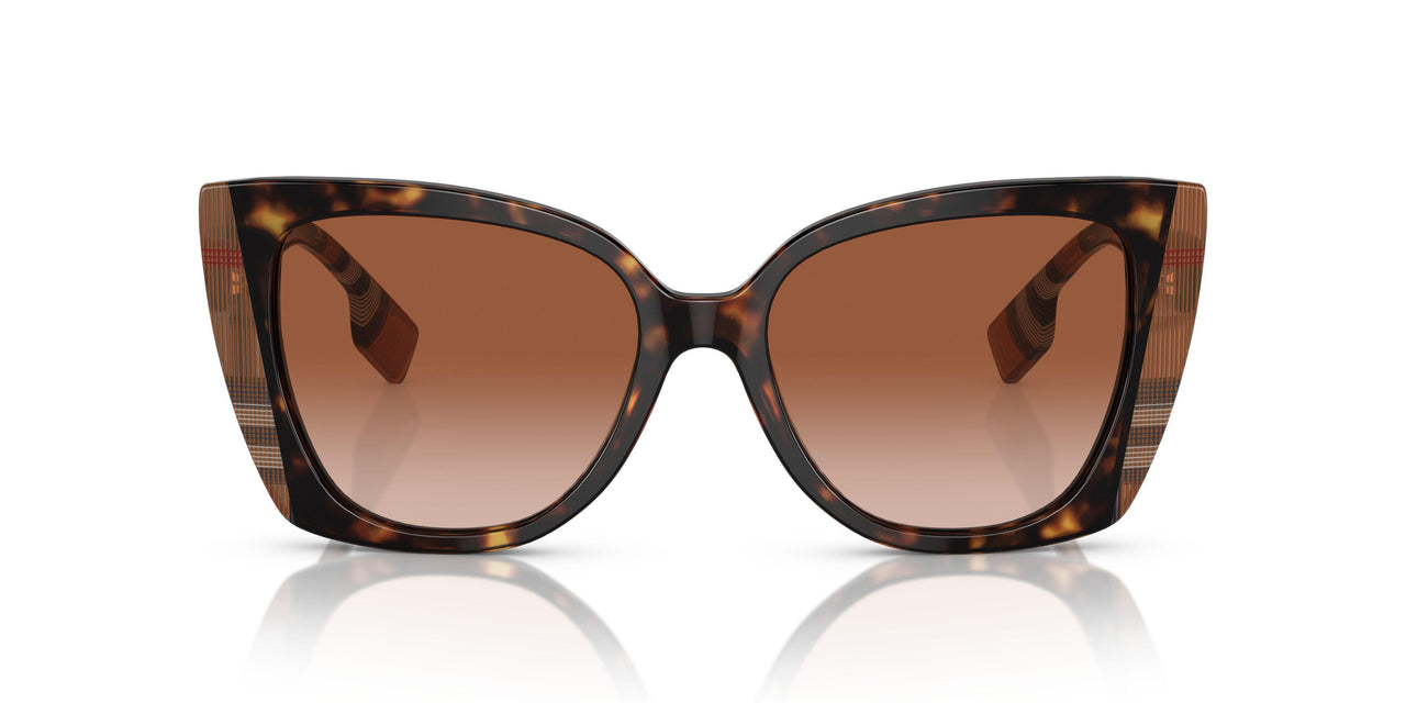405313 - Brown - Brown Gradient