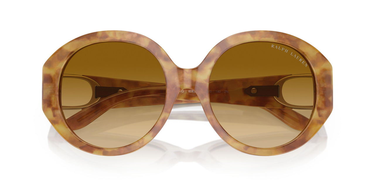 60832L - Tortoise - Gradient Yellow