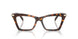 4031 - Tortoise