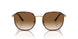 112651 - Gold - Gradient Brown