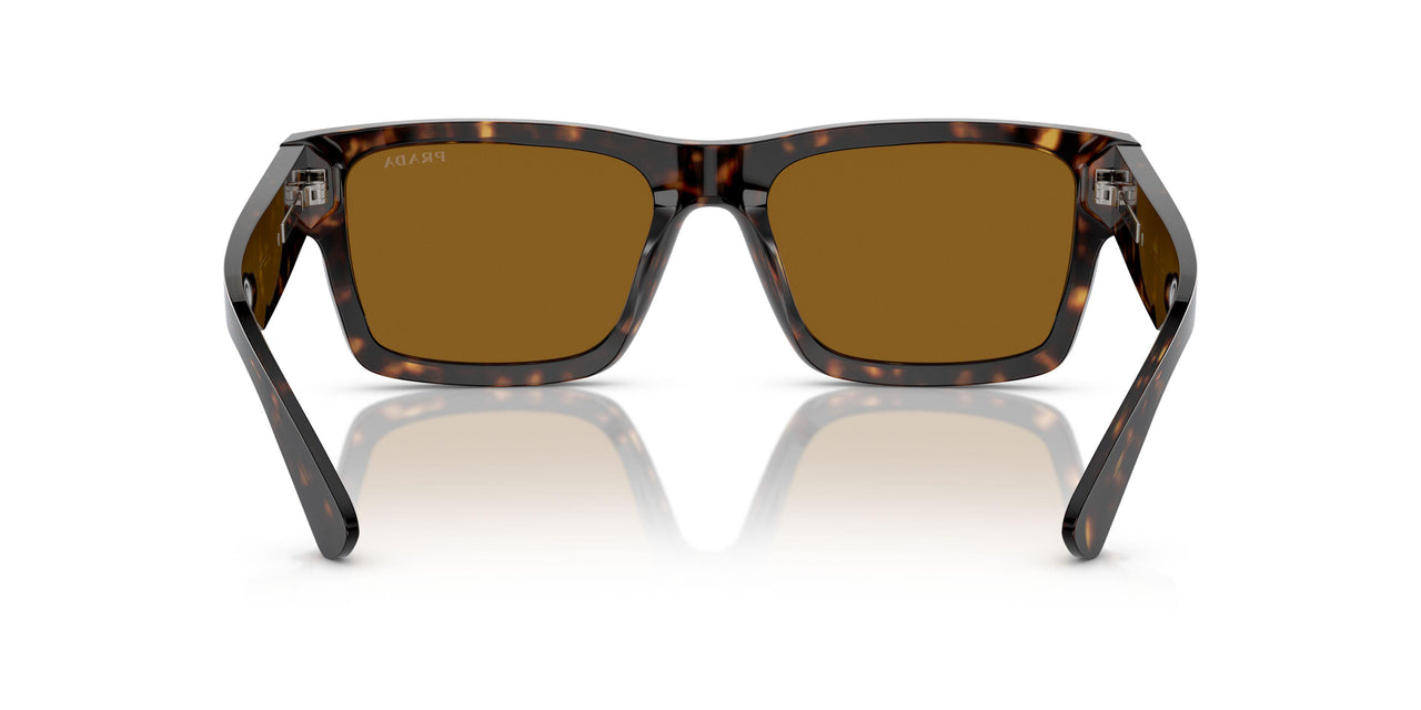 2AU0B0 - Tortoise - Brown