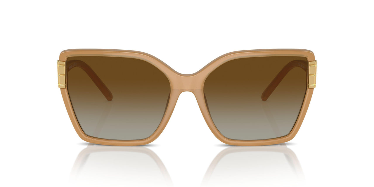 1965T5 - Brown - Brown Polarized