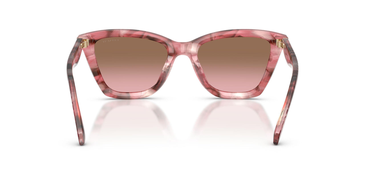 596414 - Pink - Brown Pink Gradient