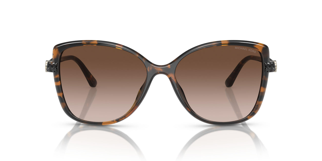 300613 - Tortoise - Brown Gradient