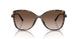 300613 - Tortoise - Brown Gradient