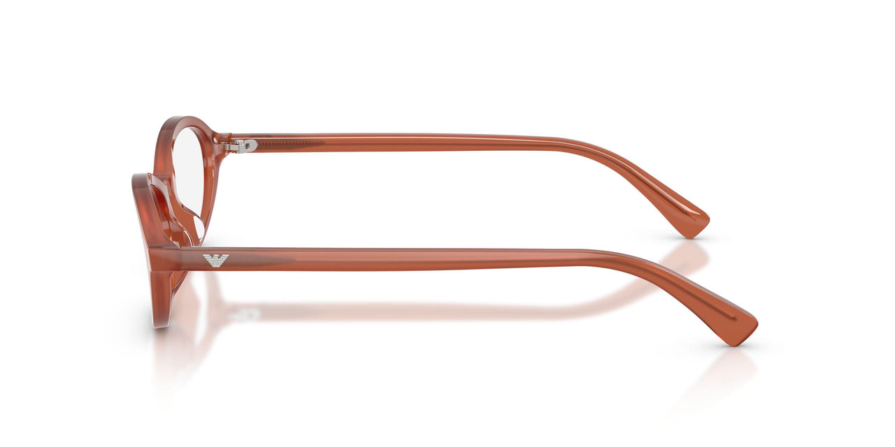6455 - Brown