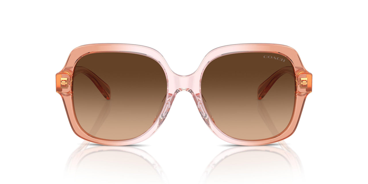 581274 - Brown - Brown Gradient